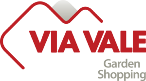 Logo VVS_Colorido